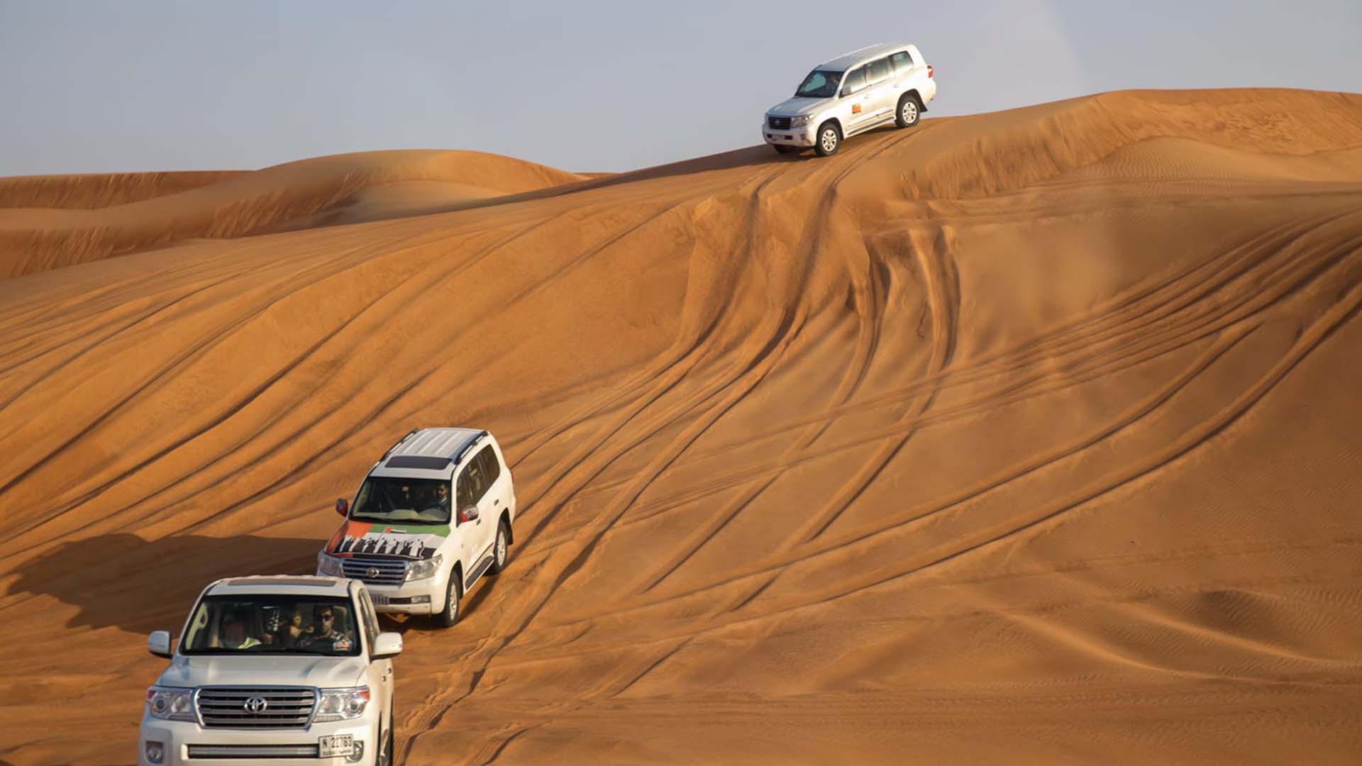 Desert Safari Trips