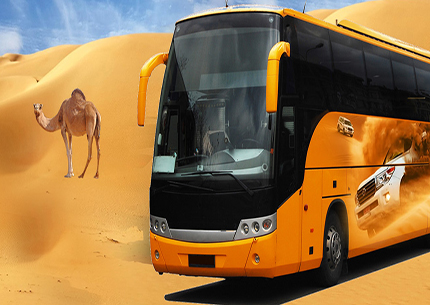 Dubai Desert Safari by Buss